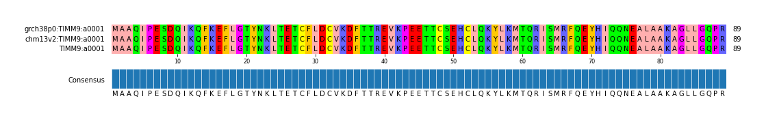 Multiple Alignments (by translate haplotype similarity)