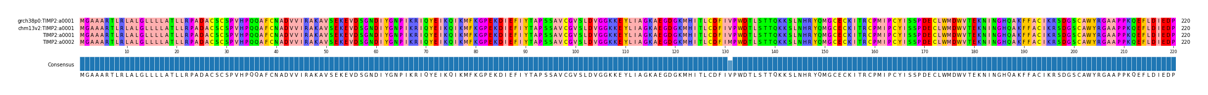 Multiple Alignments (by translate haplotype similarity)