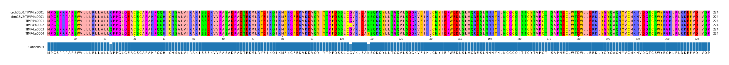 Multiple Alignments (by translate haplotype frequency)