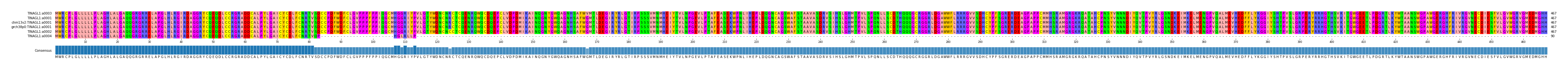 Multiple Alignments (by translate haplotype similarity)