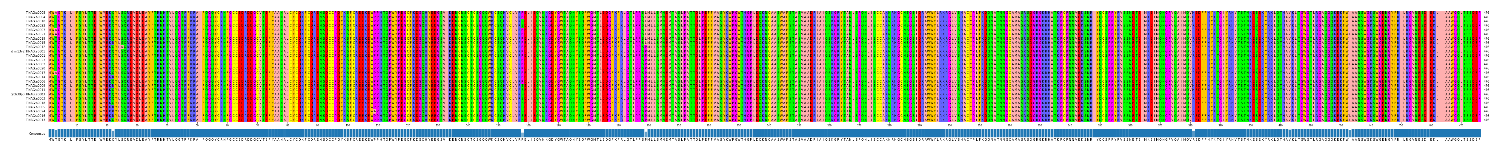 Multiple Alignments (by translate haplotype similarity)