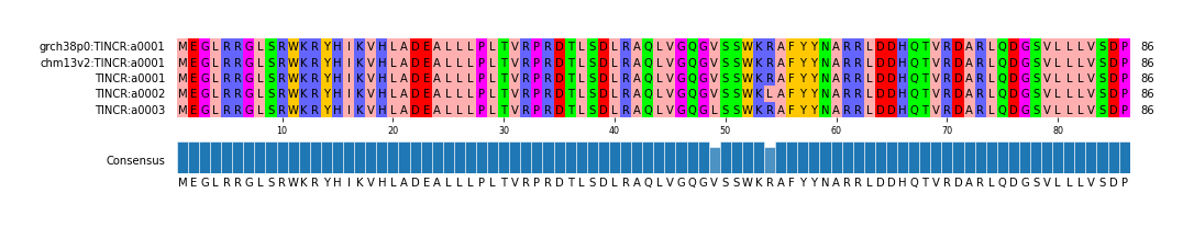 Multiple Alignments (by translate haplotype frequency)