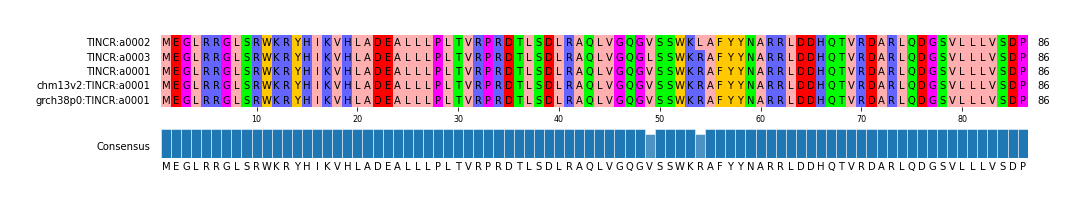 Multiple Alignments (by translate haplotype similarity)