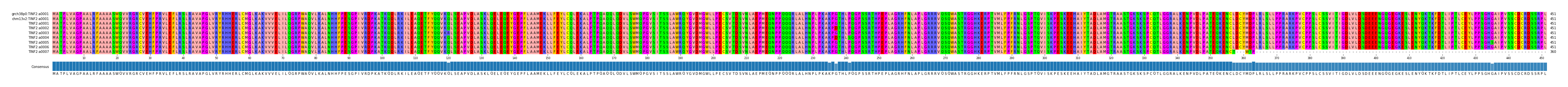 Multiple Alignments (by translate haplotype frequency)
