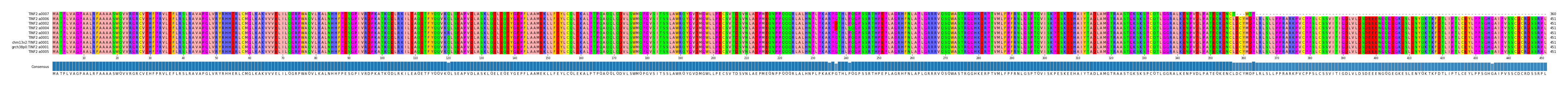 Multiple Alignments (by translate haplotype similarity)