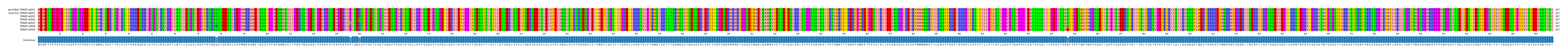 Multiple Alignments (by translate haplotype frequency)