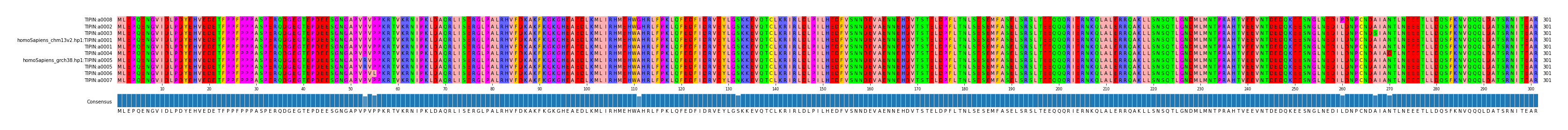 Multiple Alignments (by translate haplotype similarity)