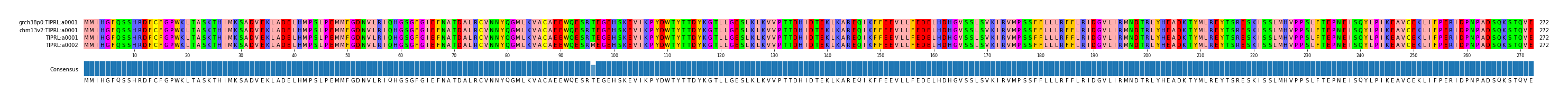 Multiple Alignments (by translate haplotype similarity)