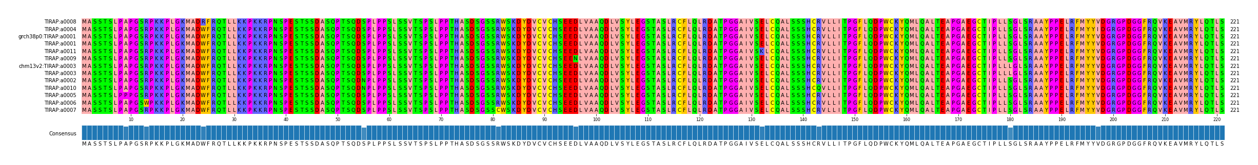 Multiple Alignments (by translate haplotype similarity)