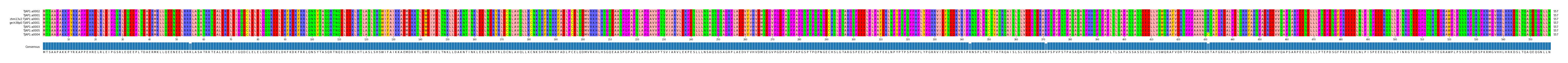 Multiple Alignments (by translate haplotype similarity)