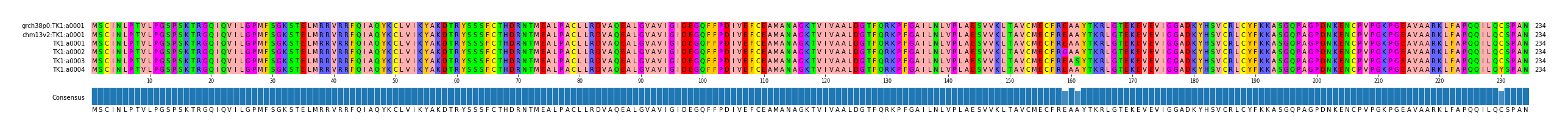 Multiple Alignments (by translate haplotype frequency)