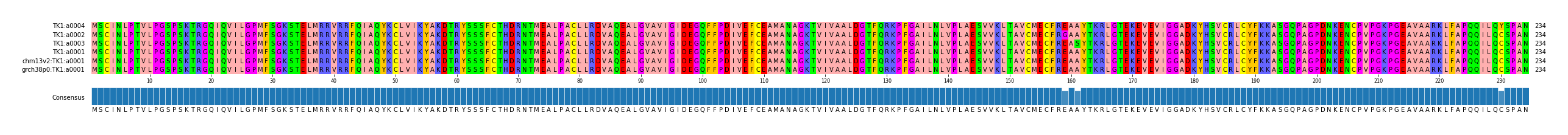 Multiple Alignments (by translate haplotype similarity)