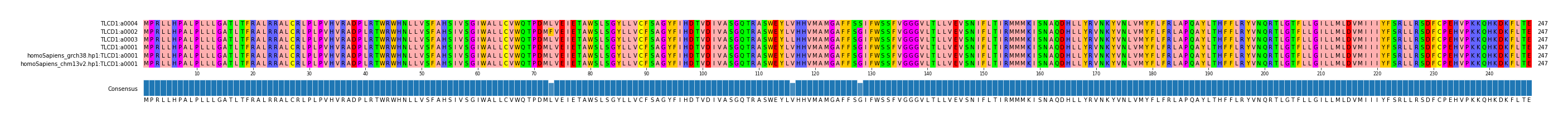Multiple Alignments (by translate haplotype similarity)
