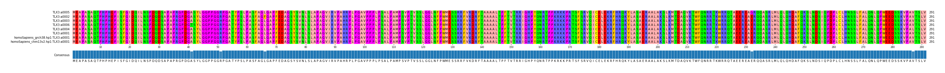 Multiple Alignments (by translate haplotype similarity)