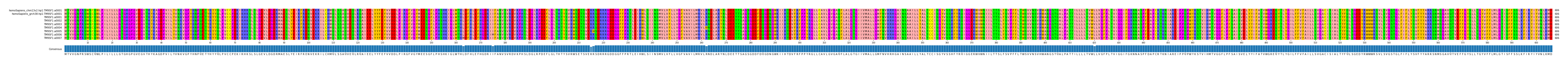 Multiple Alignments (by translate haplotype frequency)