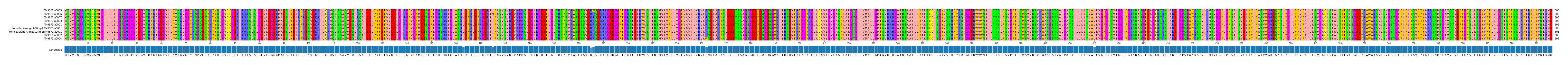 Multiple Alignments (by translate haplotype similarity)