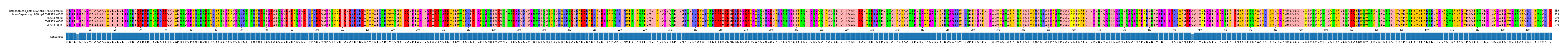 Multiple Alignments (by translate haplotype frequency)