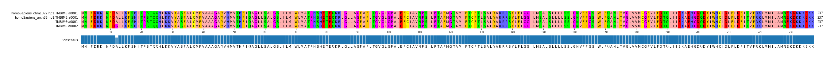 Multiple Alignments (by translate haplotype frequency)