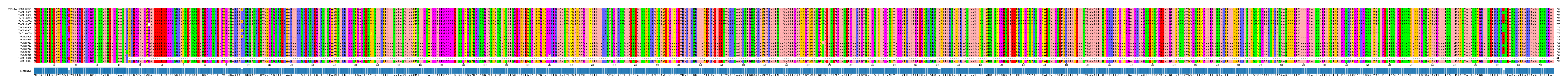 Multiple Alignments (by translate haplotype frequency)