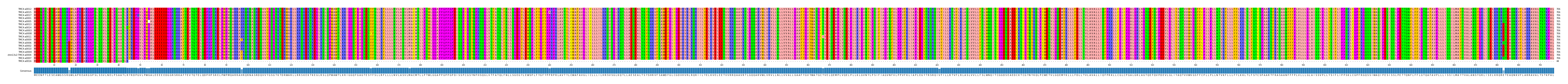 Multiple Alignments (by translate haplotype similarity)