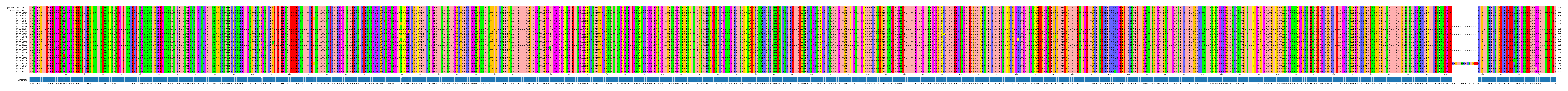 Multiple Alignments (by translate haplotype frequency)