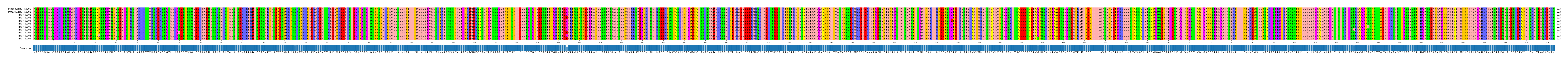 Multiple Alignments (by translate haplotype frequency)