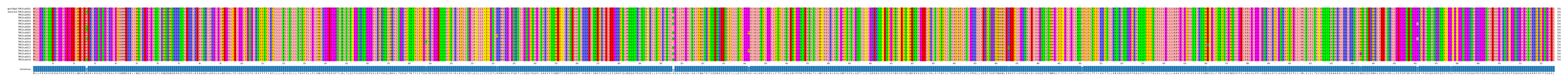 Multiple Alignments (by translate haplotype frequency)