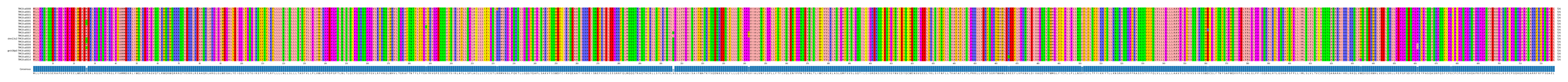 Multiple Alignments (by translate haplotype similarity)