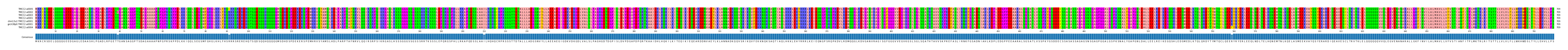 Multiple Alignments (by translate haplotype similarity)