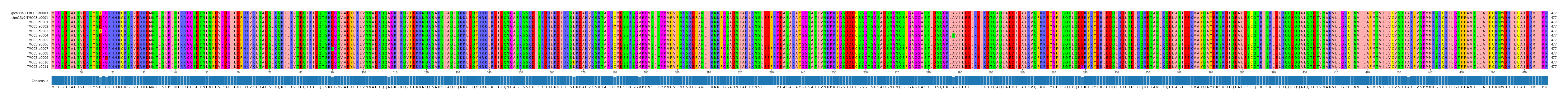 Multiple Alignments (by translate haplotype frequency)