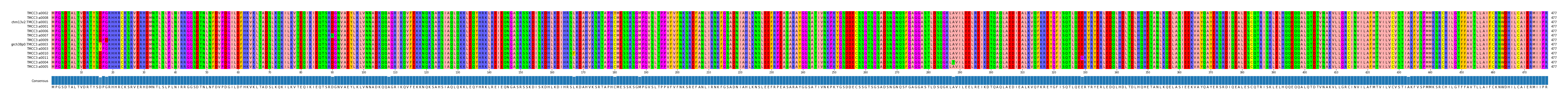 Multiple Alignments (by translate haplotype similarity)