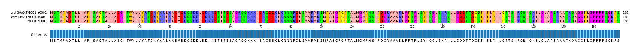 Multiple Alignments (by translate haplotype similarity)