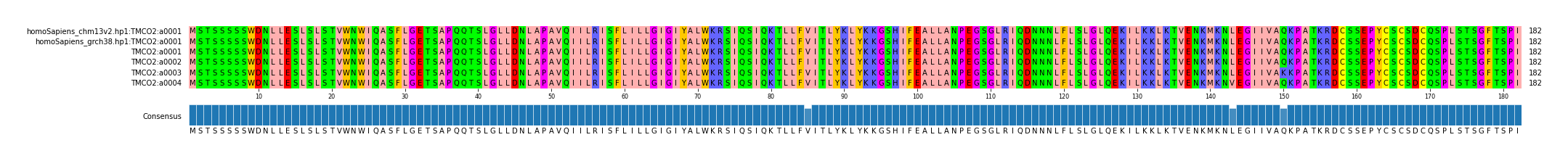 Multiple Alignments (by translate haplotype frequency)
