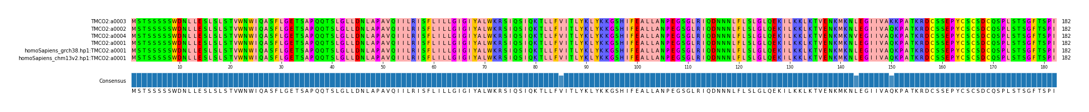 Multiple Alignments (by translate haplotype similarity)