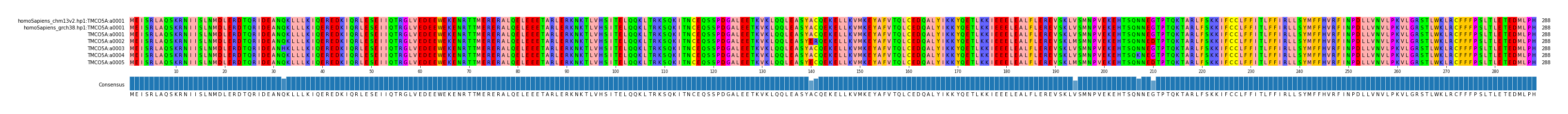 Multiple Alignments (by translate haplotype frequency)