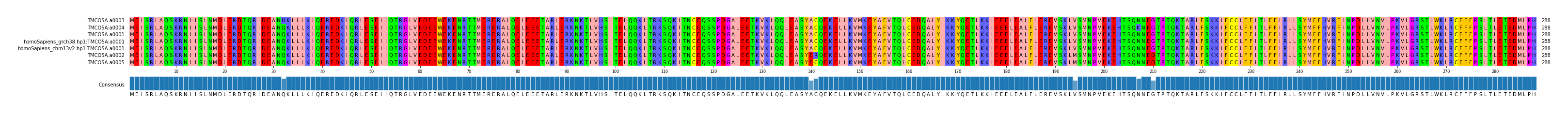 Multiple Alignments (by translate haplotype similarity)