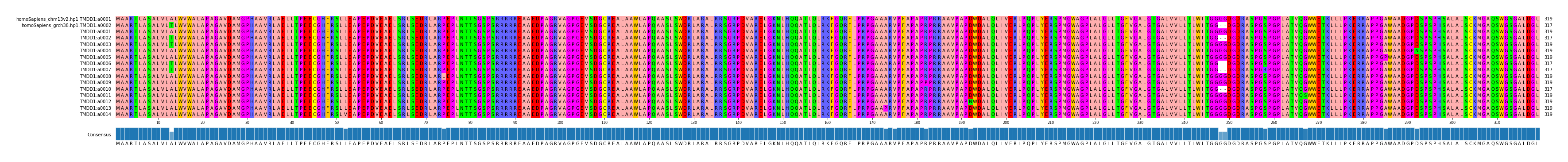 Multiple Alignments (by translate haplotype frequency)