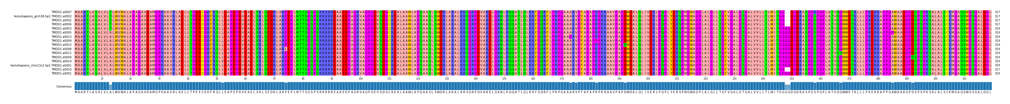 Multiple Alignments (by translate haplotype similarity)