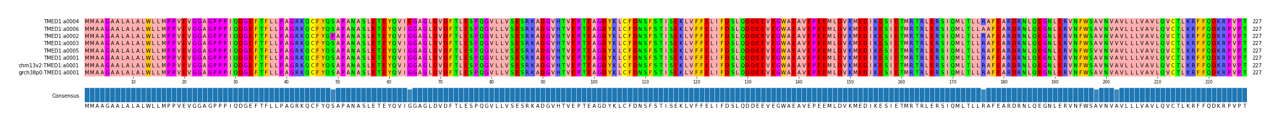 Multiple Alignments (by translate haplotype similarity)