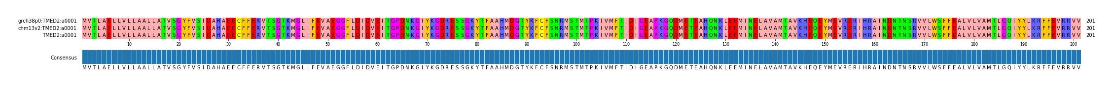 Multiple Alignments (by translate haplotype similarity)