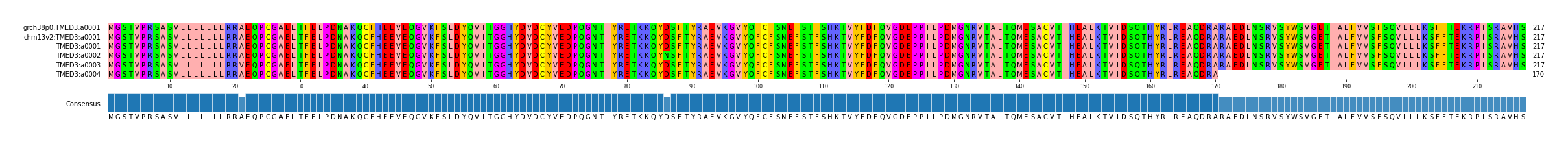 Multiple Alignments (by translate haplotype frequency)