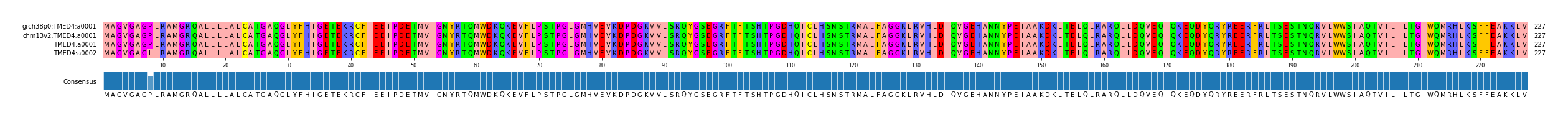 Multiple Alignments (by translate haplotype similarity)