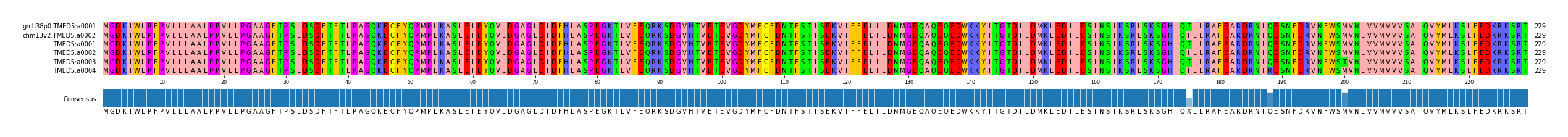 Multiple Alignments (by translate haplotype frequency)