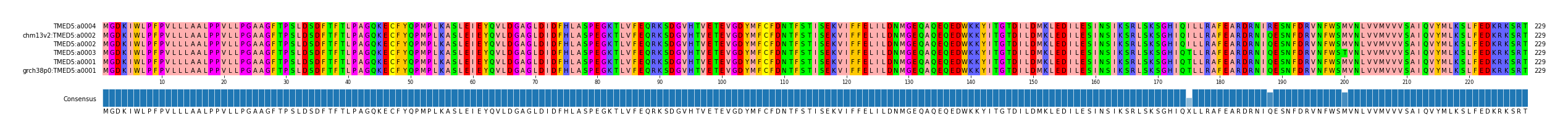 Multiple Alignments (by translate haplotype similarity)