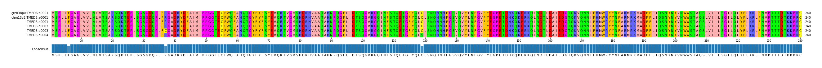Multiple Alignments (by translate haplotype frequency)