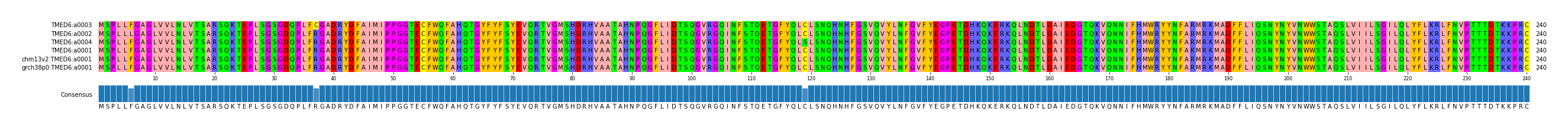 Multiple Alignments (by translate haplotype similarity)