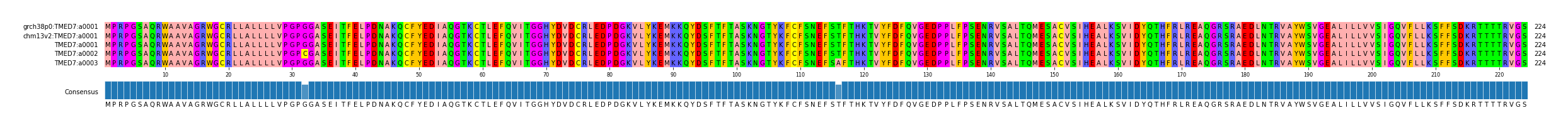 Multiple Alignments (by translate haplotype frequency)