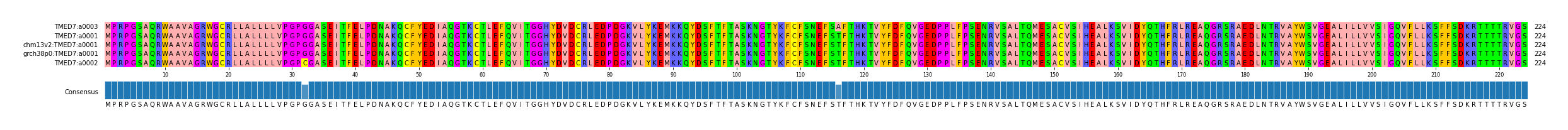 Multiple Alignments (by translate haplotype similarity)