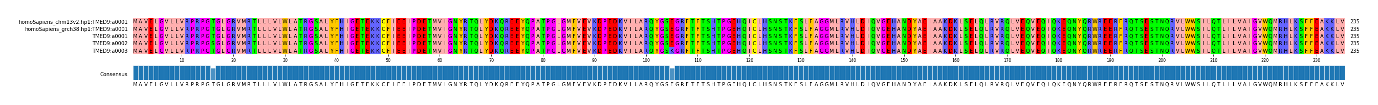 Multiple Alignments (by translate haplotype frequency)