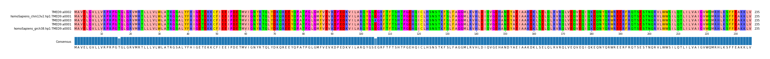 Multiple Alignments (by translate haplotype similarity)